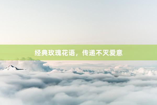 经典玫瑰花语，传递不灭爱意