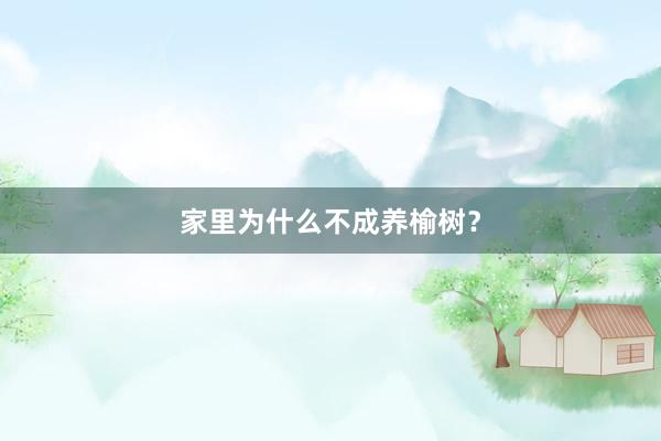 家里为什么不成养榆树?
