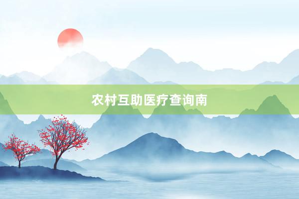 农村互助医疗查询南