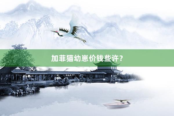 加菲猫幼崽价钱些许？