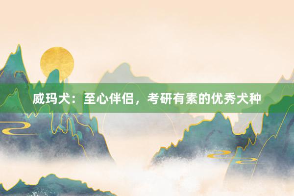 威玛犬：至心伴侣，考研有素的优秀犬种